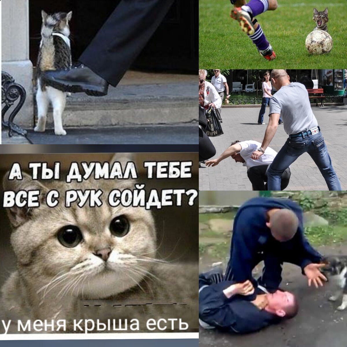 Коллаж для примера.