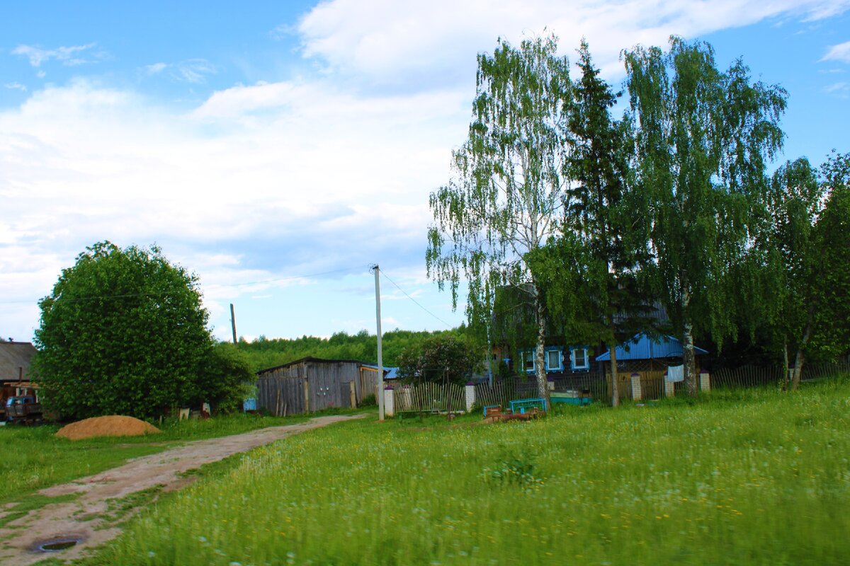 Старинное и душевное село Богородское, в котором люди построили уникальный  храм в честь победы над Наполеоном | Под зонтиком | Дзен