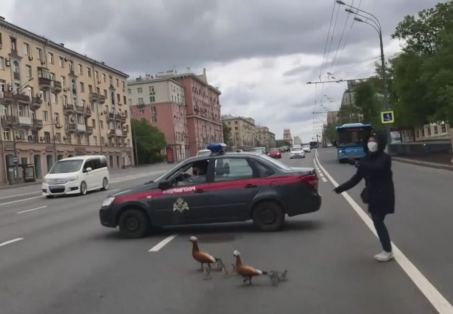 Не спец мероприятие, но все же машина Росгвардии не на долго перекрыла движение))
