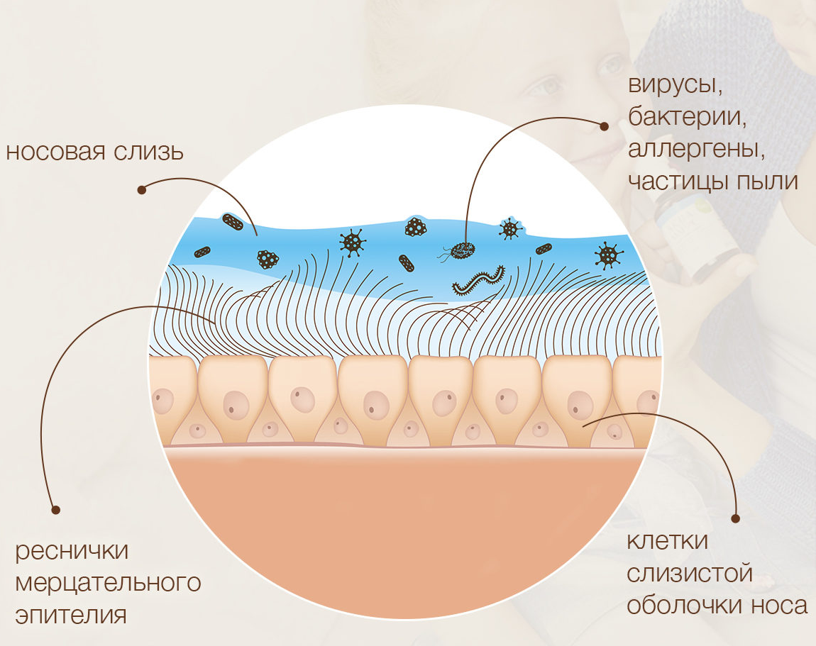 Как снять отек и восстановить слизистую оболочку носа?