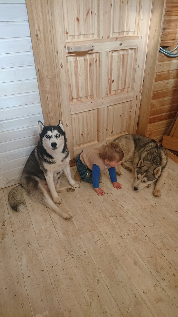 Машина начала рычать