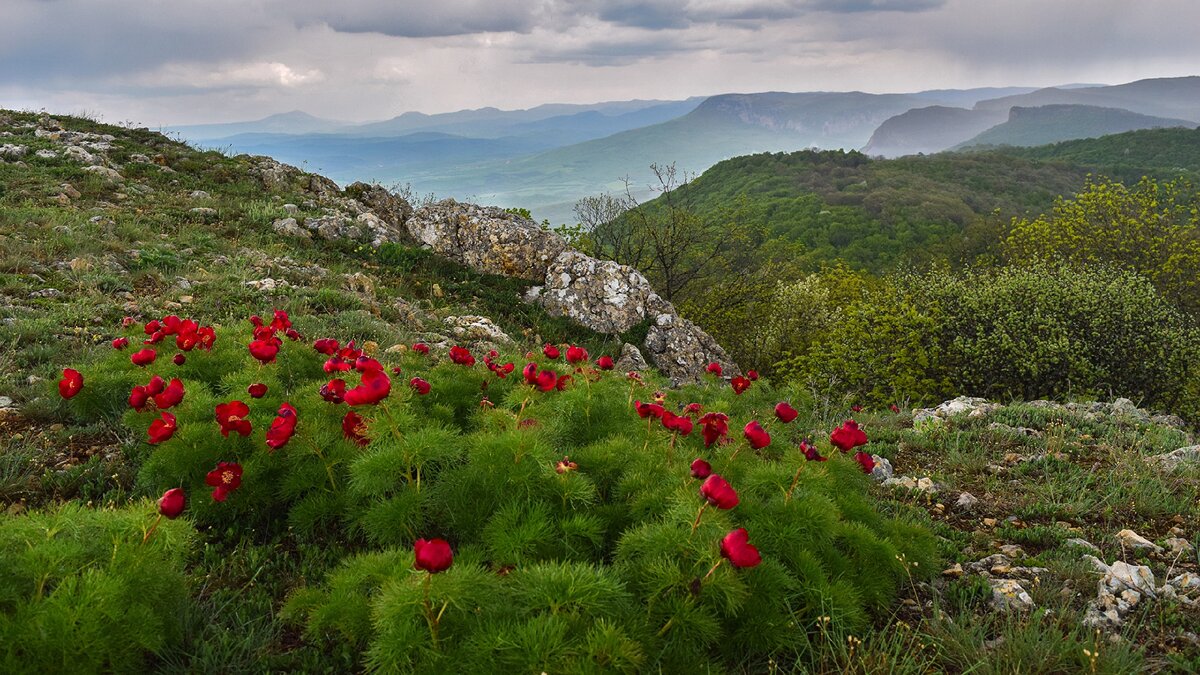 Природа Крыма фото из интернета