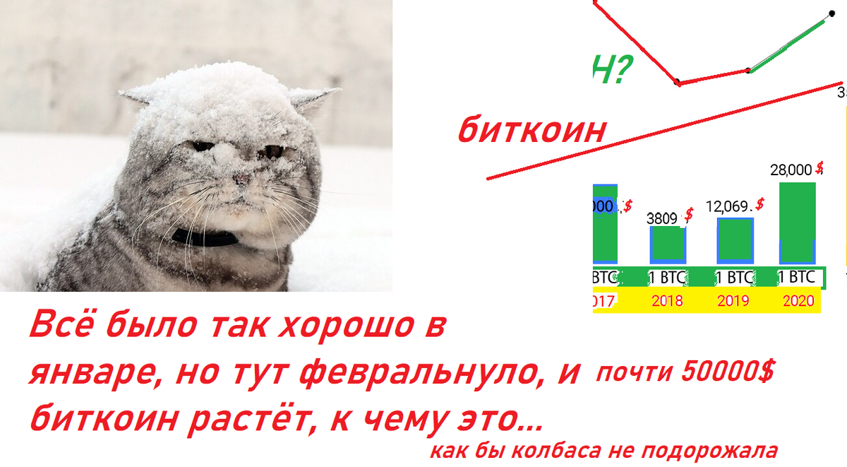 Фото из открытого доступа