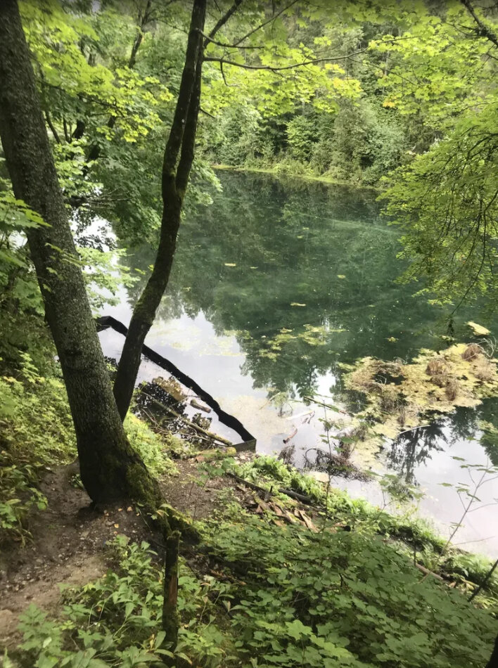 Зеленые воды