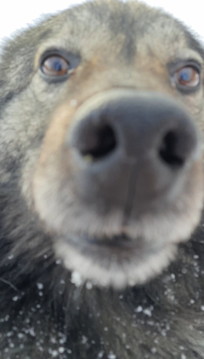 Мой друг Скай