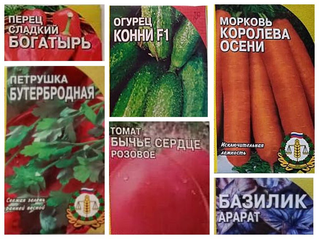 Челябинский Россельхозцентр назвал популярные сорта овощей