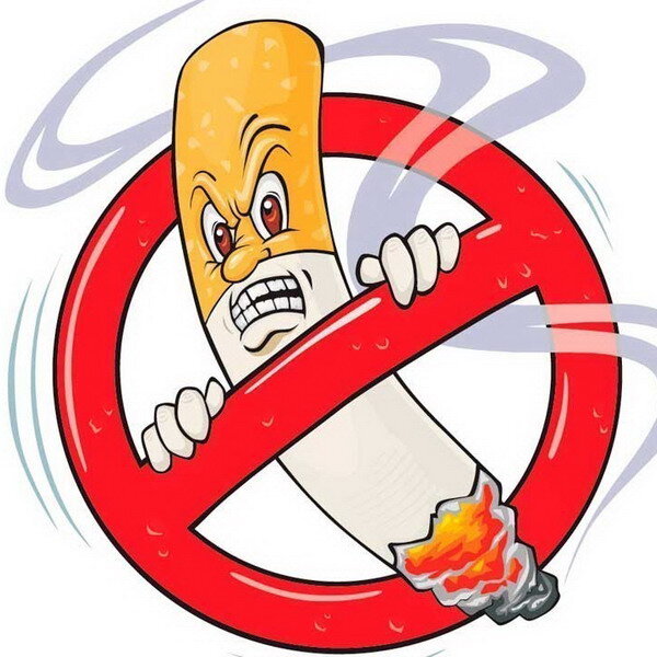 Photos from the Internet