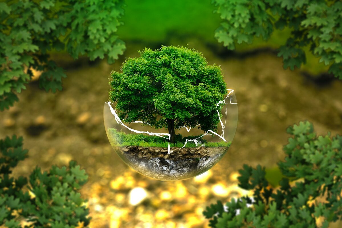 Изображение с сайта Pixabay