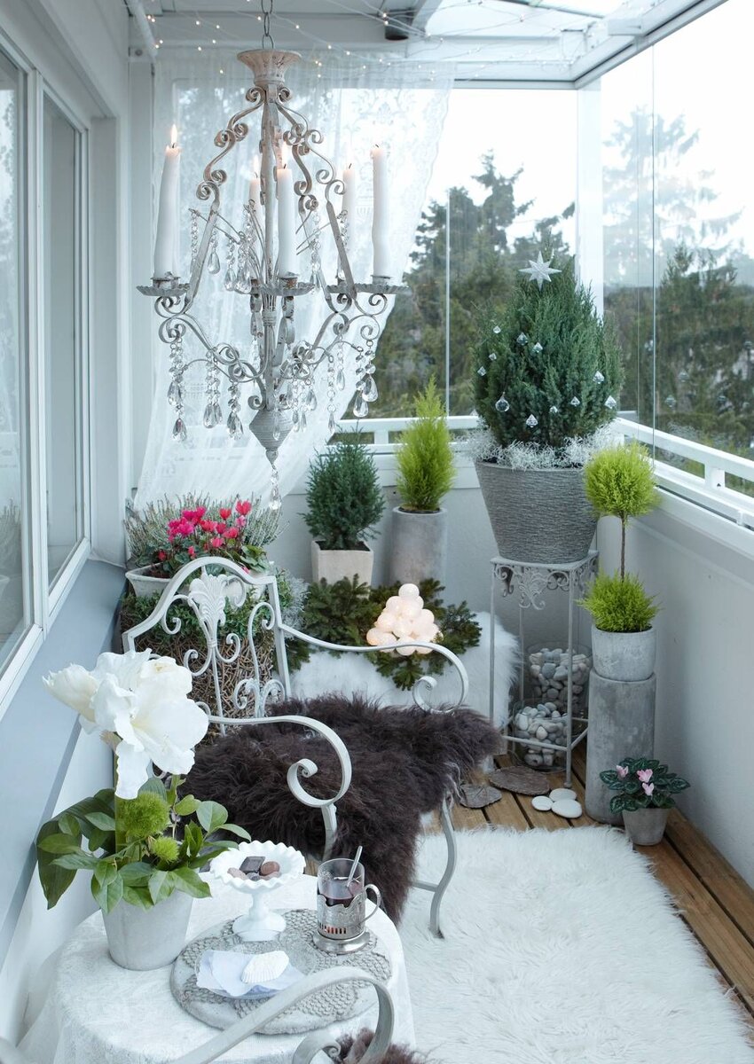 Зимний сад на балконе: от А до Я