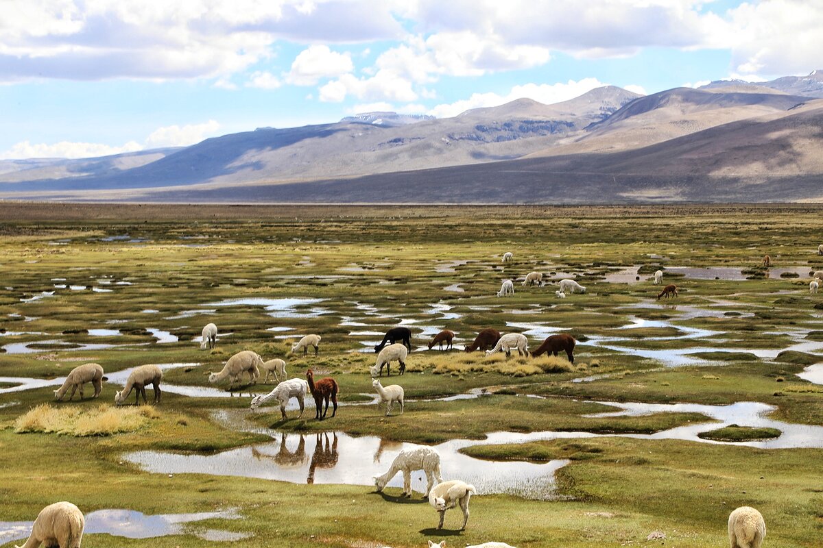 Все фото автора