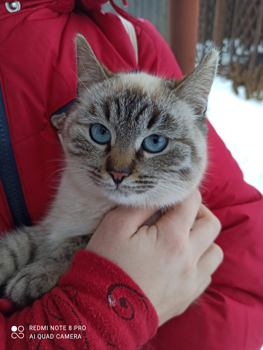 Вот она Машка.