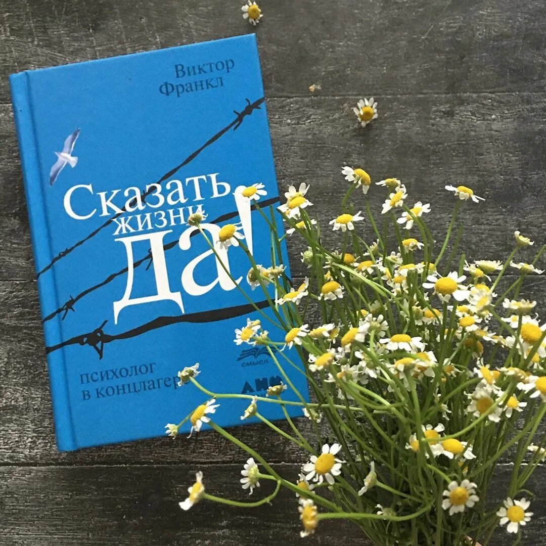 Сказать жизни да полностью книга. Сказать жизни да обложка. Сказать жизни да узбекски.