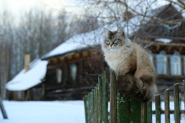 Фото из открытых источников Интернет