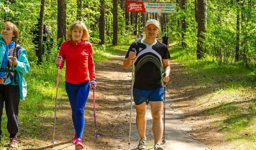 Дорога здоровья. Тропа здоровья Мария ра Барнаул. Тропа здоровья Барнаул. Трасса здоровья Барнаул летом. Лыжная база Динамо Барнаул летом.