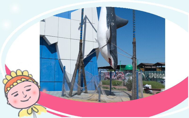 Здесь и далее - фото из личного архива автора канала "От 0 до 6"