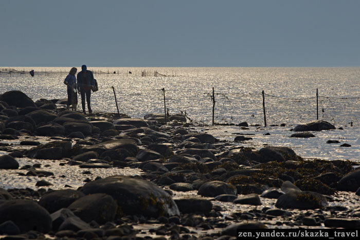 Сети на Белом море