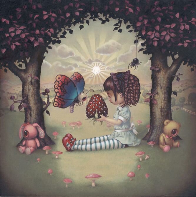 фото из открытых источников