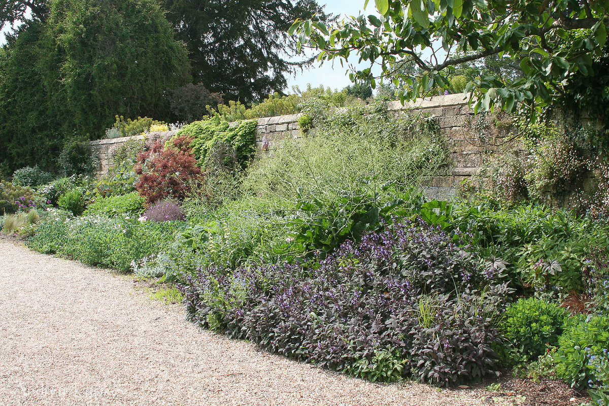 мастер сад ограждение штакетник. питомник мастера сада в дмитрове. яхрома питомник мастера сада. мастера сада дмитров. мастер сад.