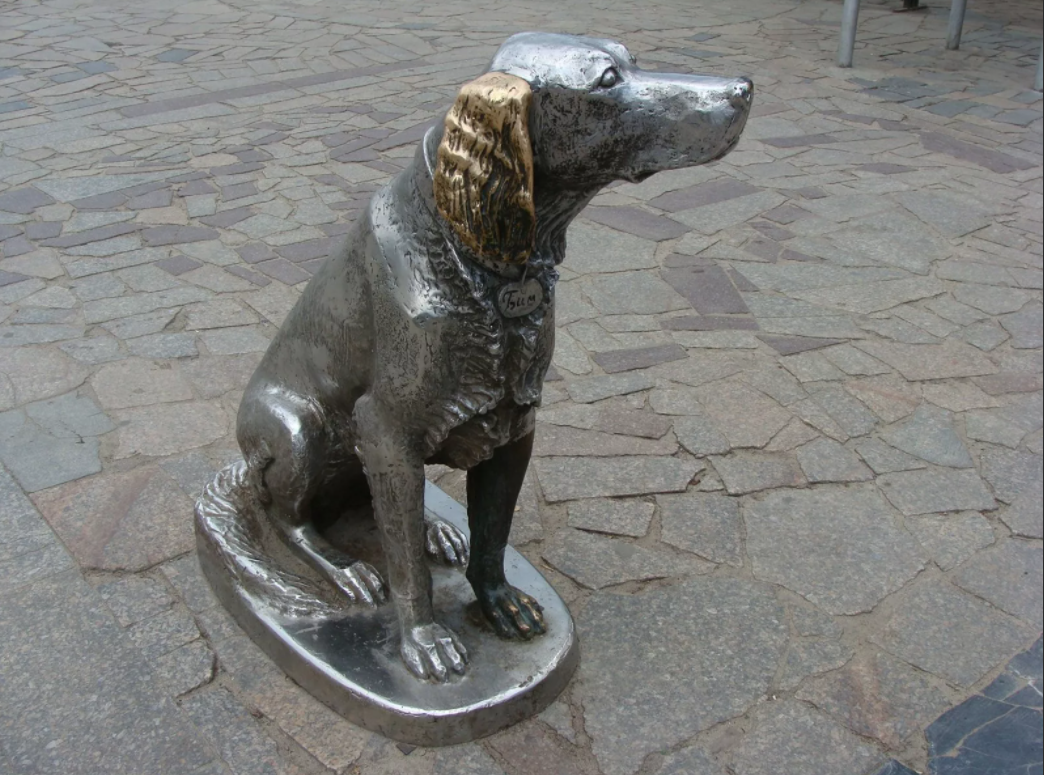 памятник белому биму воронеж. белый бим черное ухо воронеж. собака воронеж где. собака воронеж где. собака воронеж где.