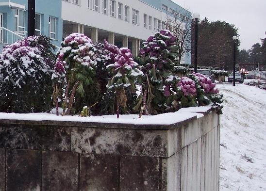 Фото из личного архива