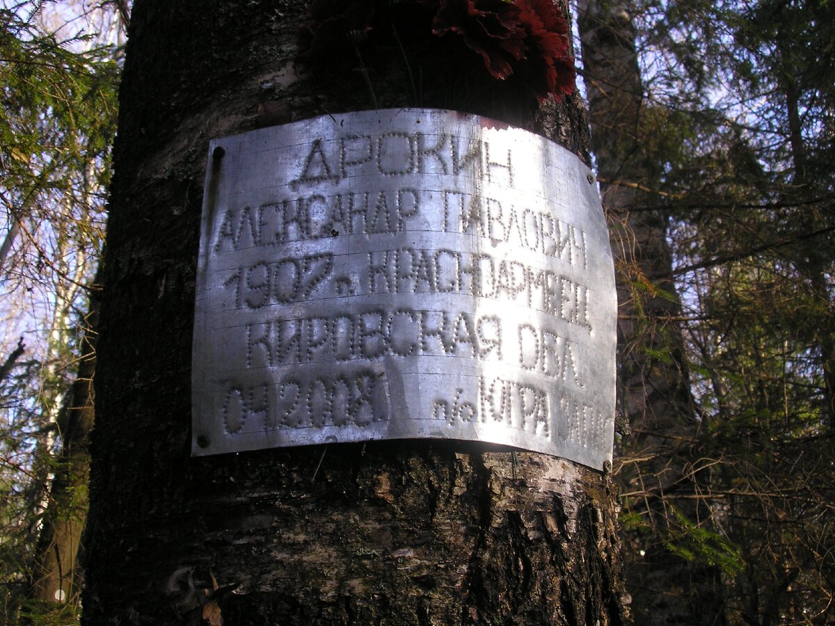 Памятные таблички в Ржевском лесу