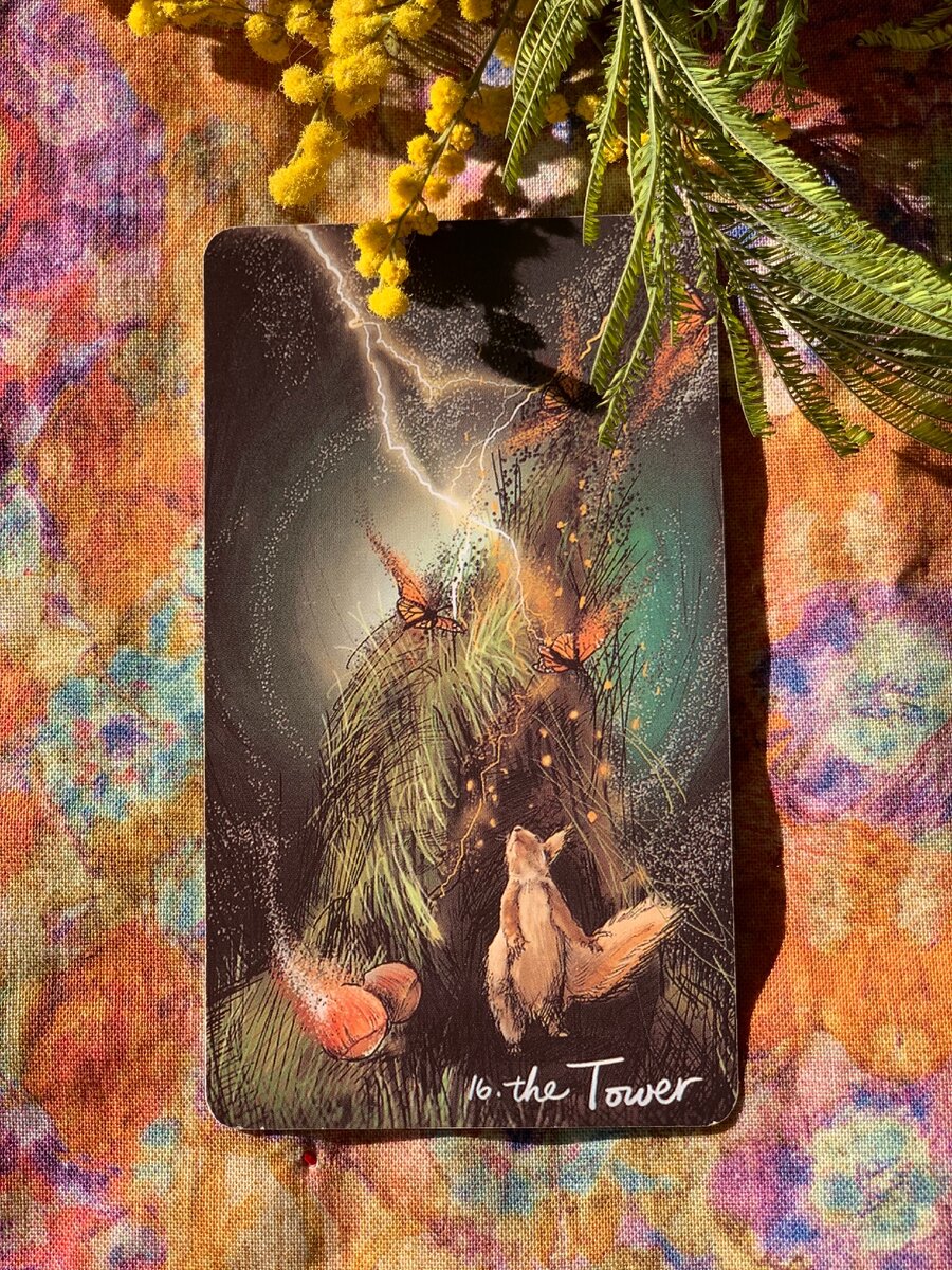 Фото из личной коллекции автора 