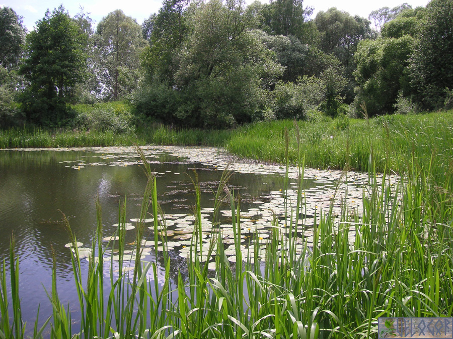 Озеро Резваннское