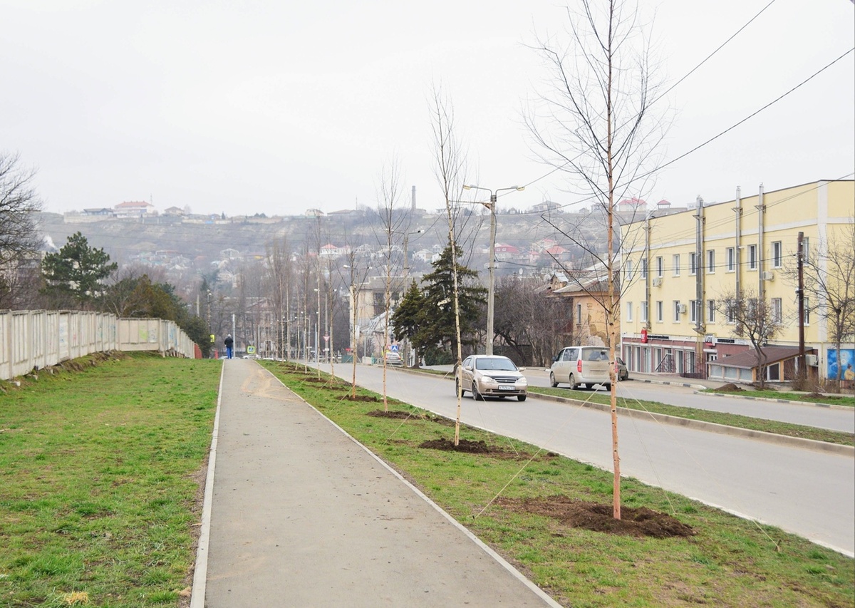 ул.МИра р-н ТНУ, недалеко от пустой волохранки.