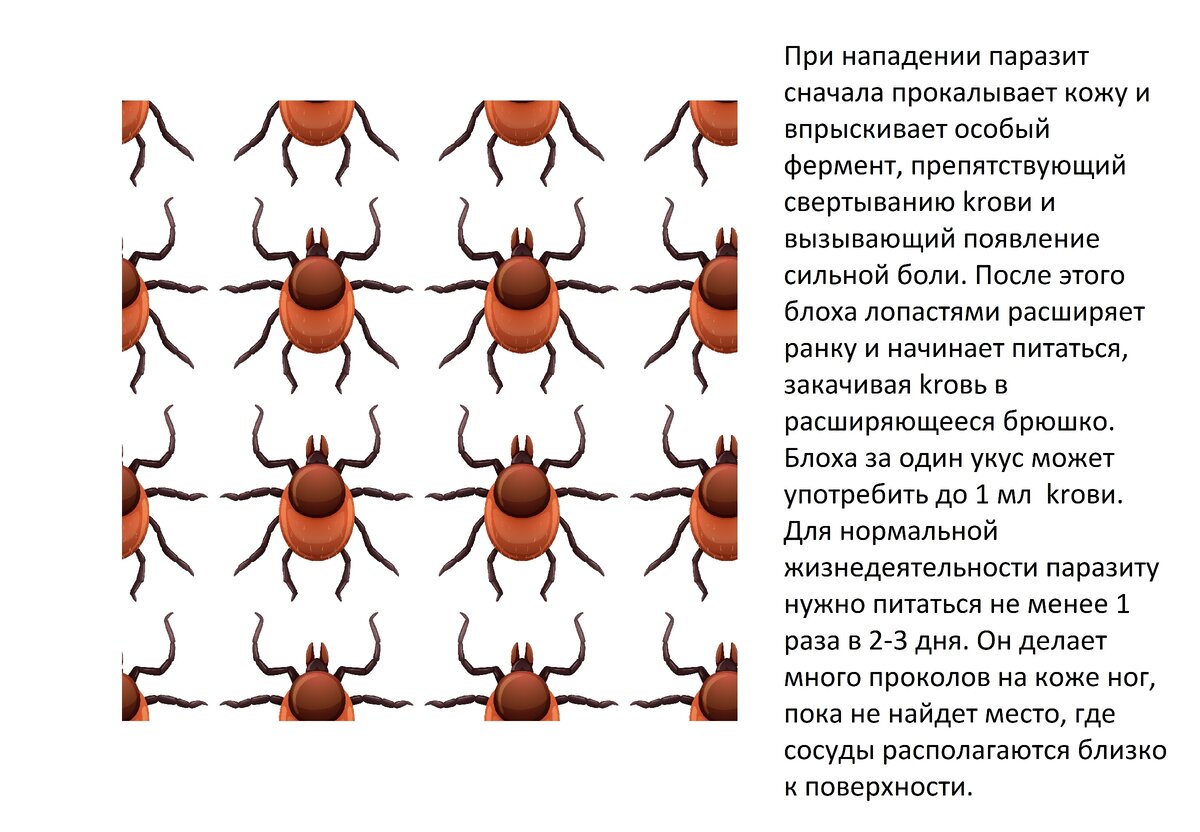 Иллюстрация сделана с использованием картинки из свободных источников
