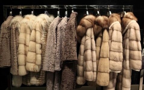 Норковые шубы. Фото взято из сети Яндекс.Картинки