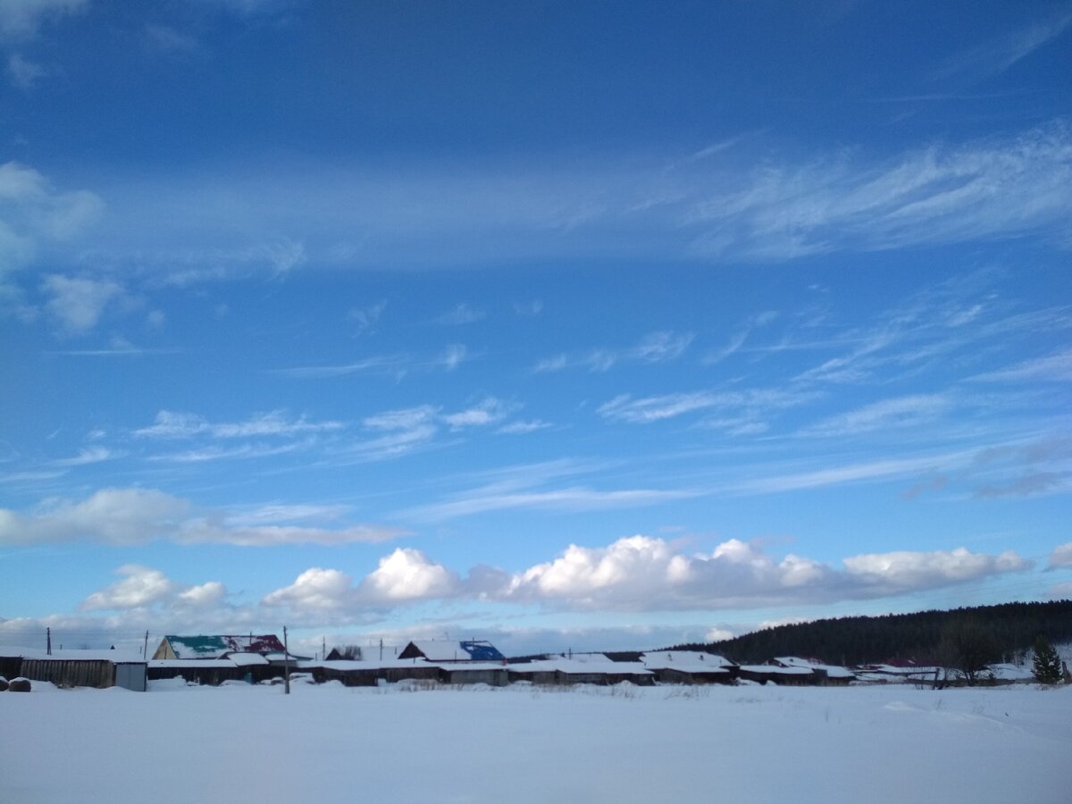 Первые краски марта. Фото автора.