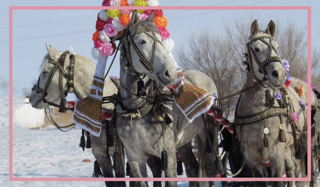 Фотография из открытых источников