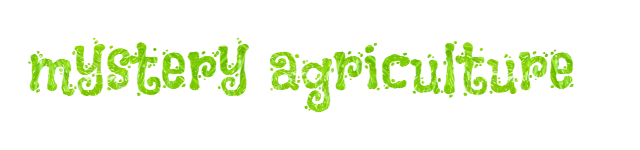 Просто красивый шрифт с названием модификации, ибо официальной заставки у мода нет.