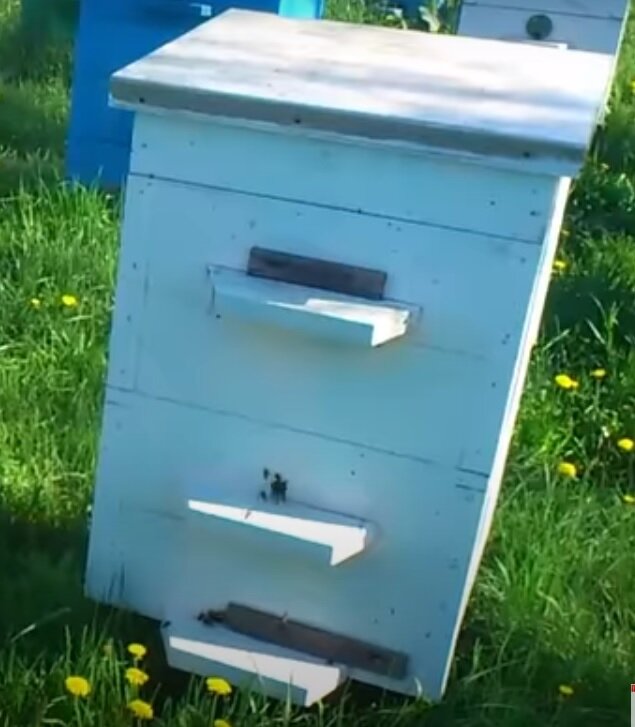 Двухкорпусной улей  (два 12-рамочных корпуса)