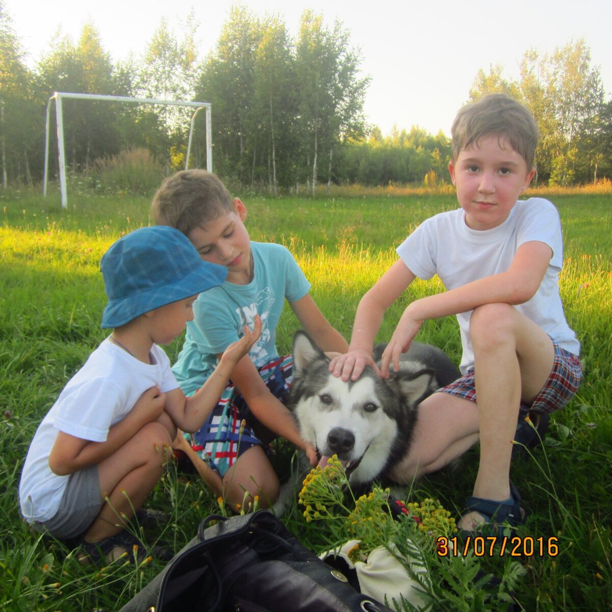 Передышка после дрессировки в кругу своих лучших друзей