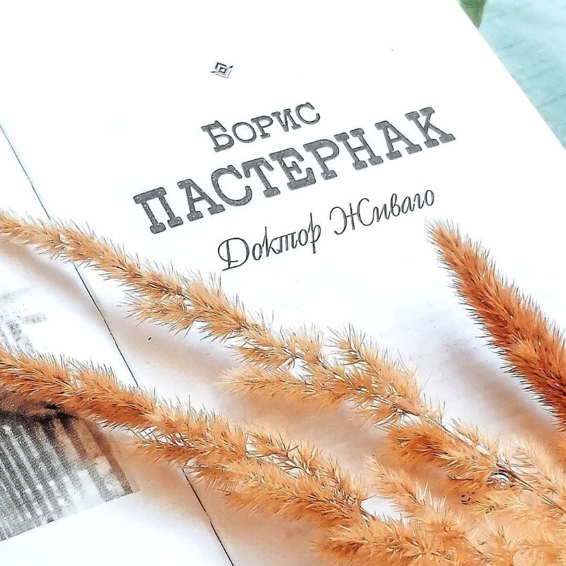 Фото https://www.instagram.com/p/CGEXblvnXpt/