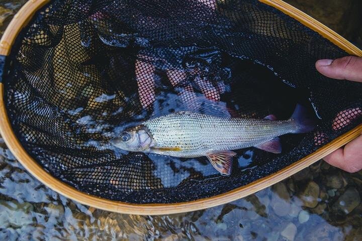 Фото: pixabay.com 