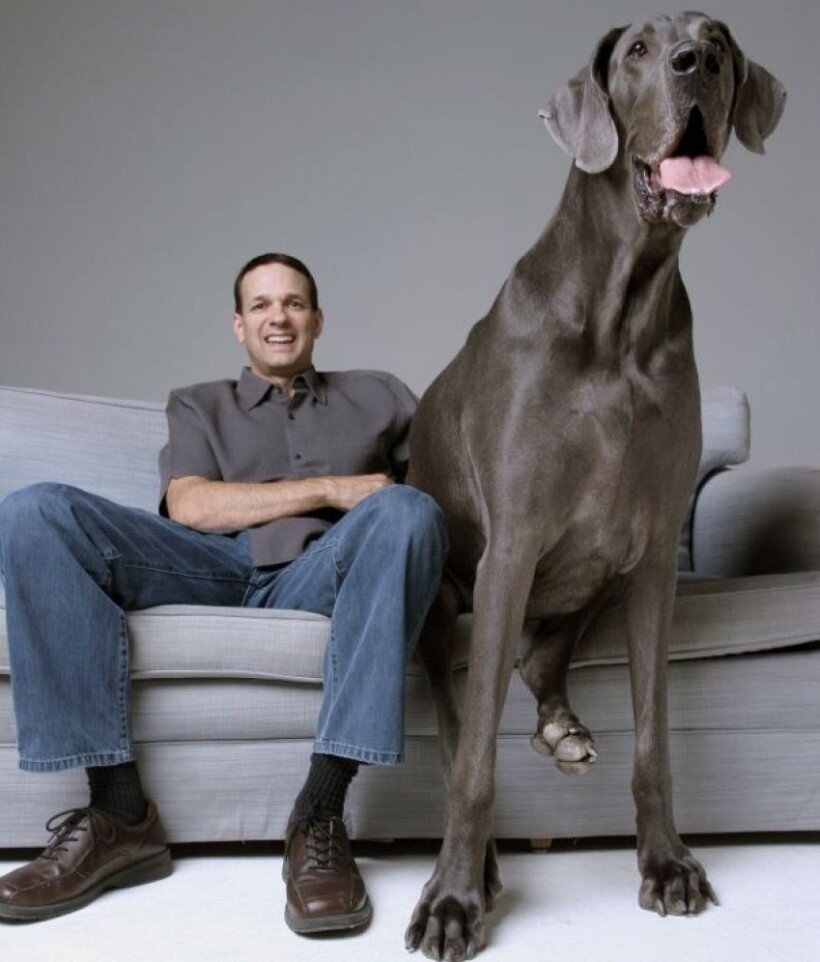 Фото взято из источника pixabay.com/ru/