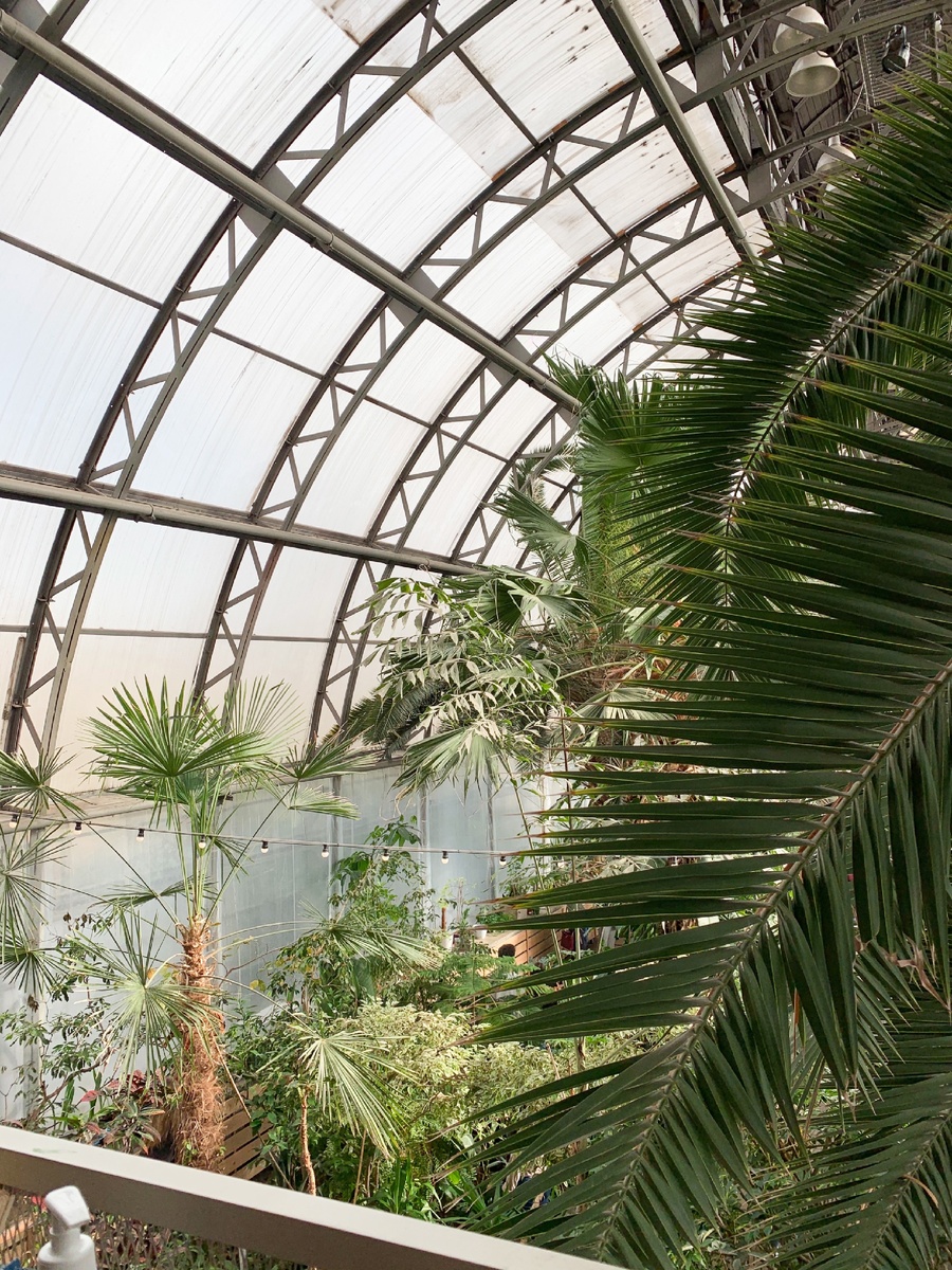 Тропический рай