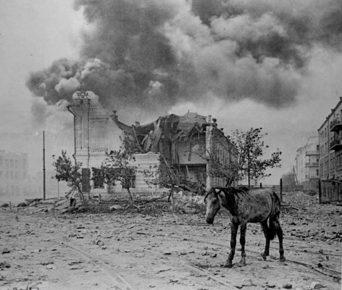 Знаменитое фото Якова Рюмкина. Лошадь на улице разрушенного Сталинграда. 1942 год.  Слева на фото видно сохранившийся торговый корпус на нынешнем Центральном рынке. Сейчас в нём располагается мясной корпус.