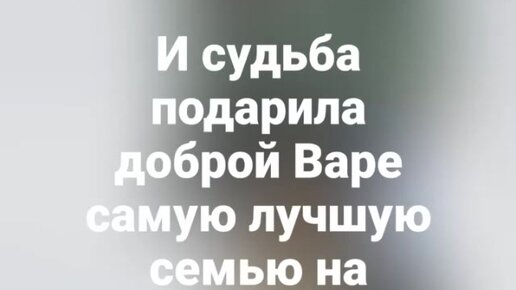 Собаки терьеристого типа - приютские изгои. История одной бородульки, которой очень повезло