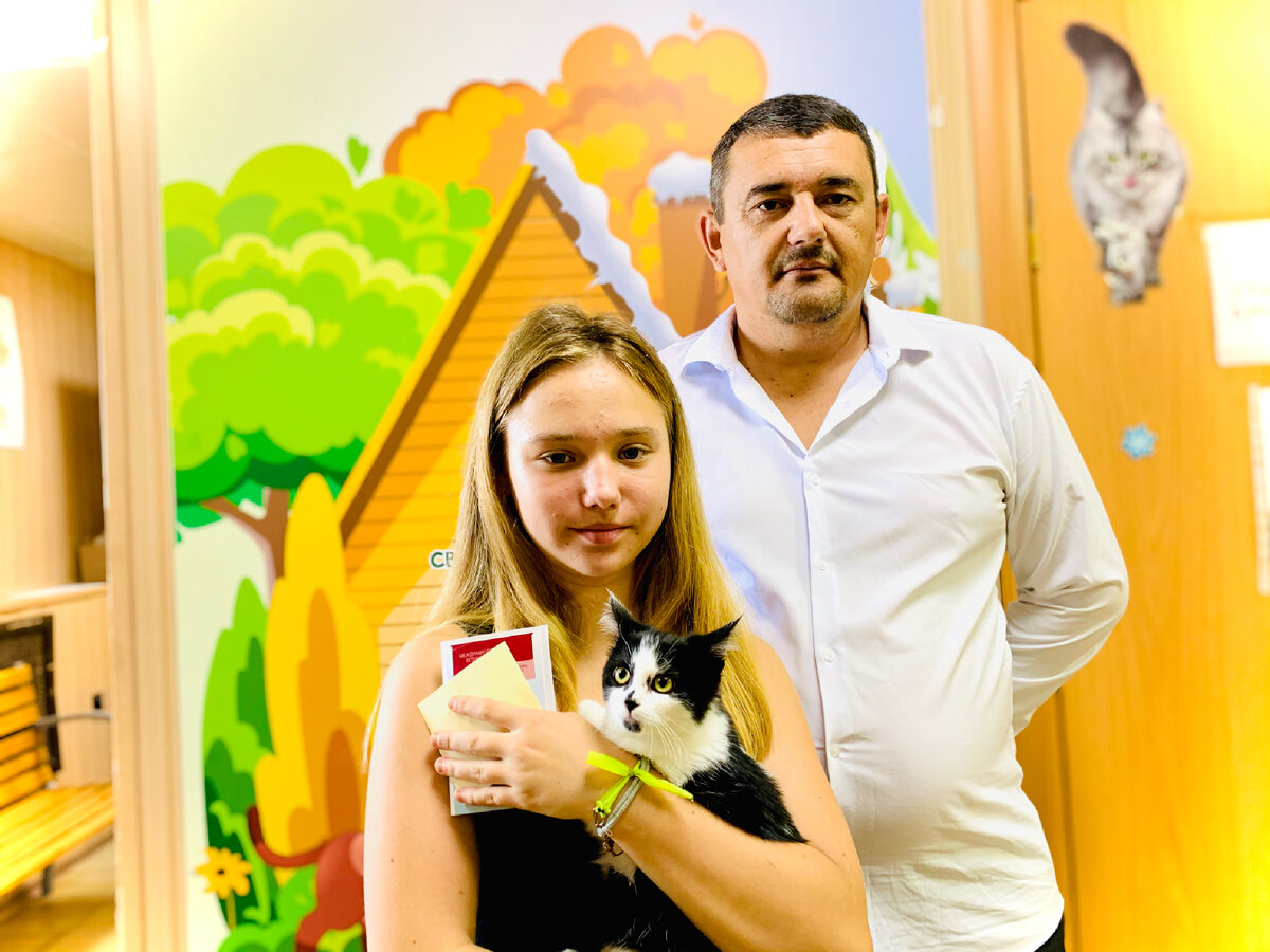 Кошечка по имени Пай теперь домашний питомец! 