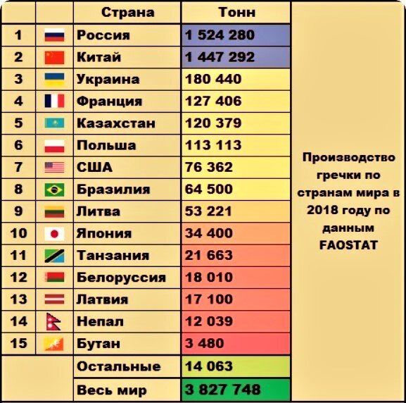 На контроле Президента: белорусские сельхозкультуры