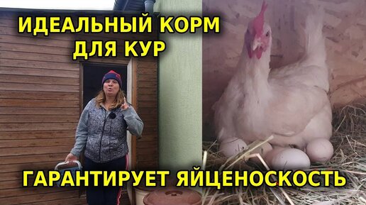 Качественный гранулированный комбикорм Люкс