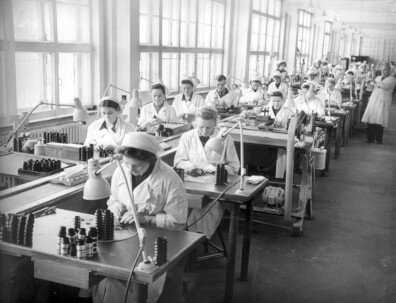 Примерно вот так выглядел мой первый участок.