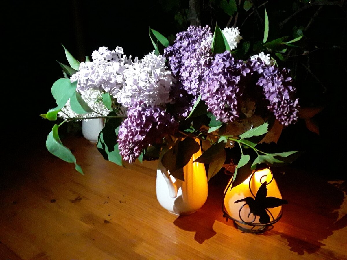 Сирень в белом кувшине на веранде - непременная традиция каждой моейдачной  весны