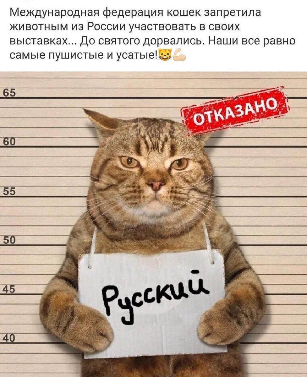 интернет