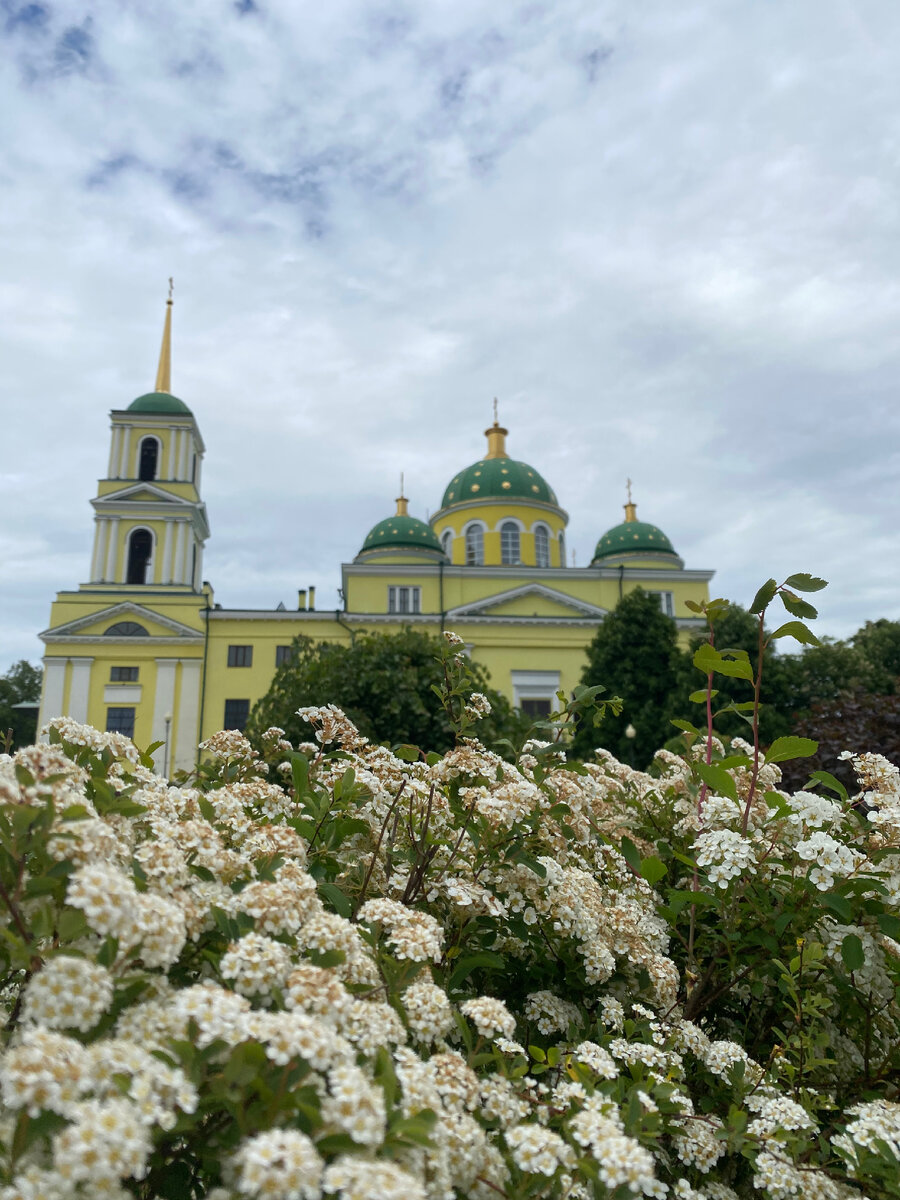 Из последних фотографий