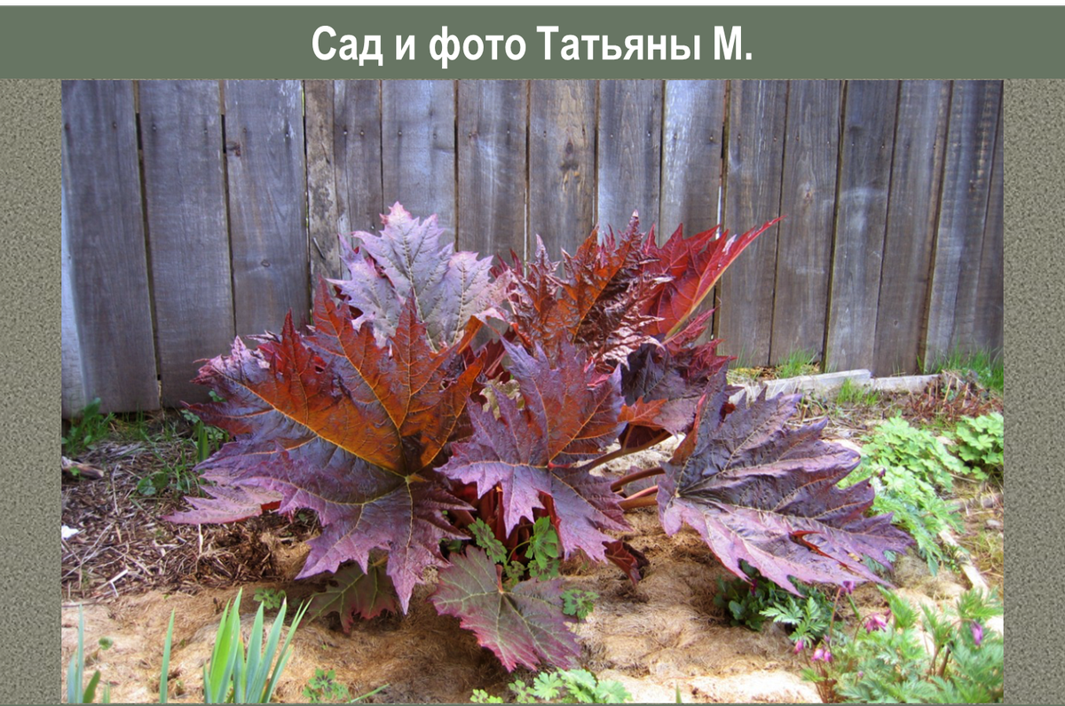 Московская область, Зеленоград. Источник: личный архив Татьяны