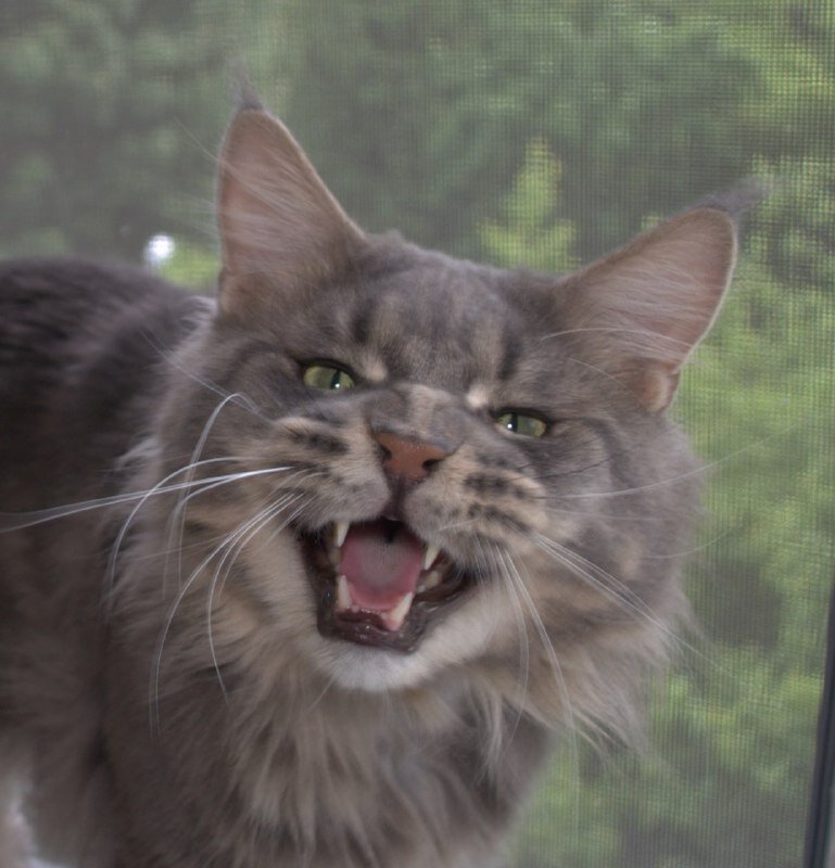 Герой Ланселот